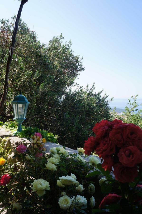 Marina - Holiday Home With Sea View Makarska Exteriör bild